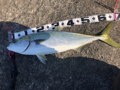 絶好の釣り日和だから…期待大❗…