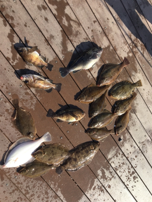 SFC プライベートボートで仙台湾五目釣り…