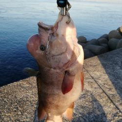 波止場のモンスターハント!