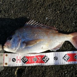 最高の釣行（投釣り、穴釣り）