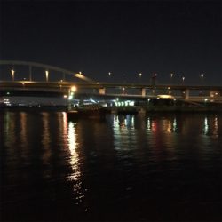 南港大橋でバチ抜け？