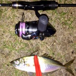 アジンガー1830〜1935