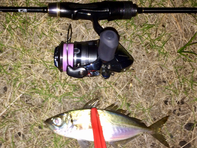 アジンガー1830〜1935