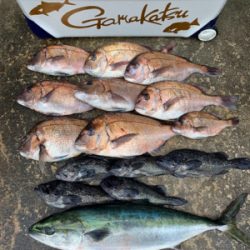 家島釣堀水宝さんにて