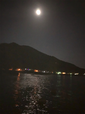 昨夜に引き続き！今夜は息子と共に(^｡^)