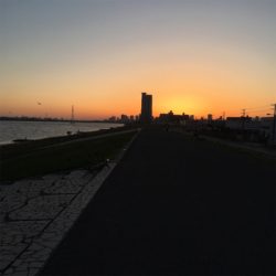 淀川ブリームゲーム