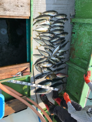 孝洋丸アジ釣り