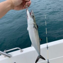 2時間ちょいの短時間釣行