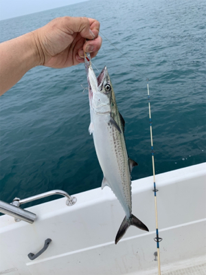 2時間ちょいの短時間釣行