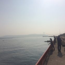 平磯も三度目の正直