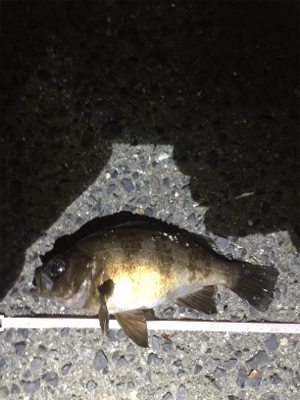 やっぱり尾崎❗️…