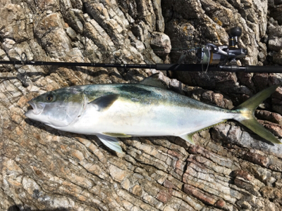 春のロックショア