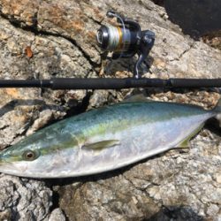 再びロックショア