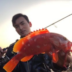 弁天ライトロックフィッシュゲーム