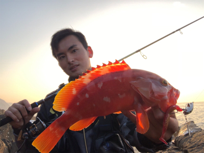 弁天ライトロックフィッシュゲーム