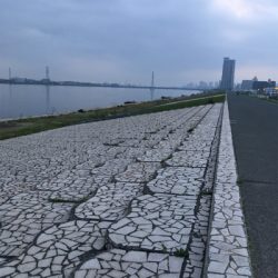 淀川ブリームゲーム 3連戦 3日目