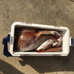 クーラー満タン（＾∇＾）