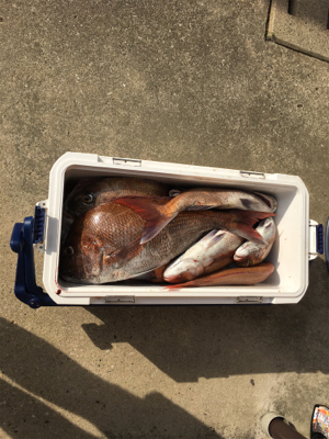 クーラー満タン（＾∇＾）