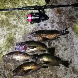 苦手なパターン