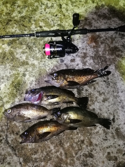 苦手なパターン