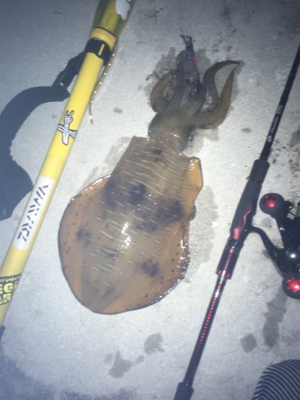 久しぶりの釣行