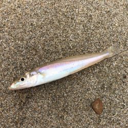 キスシーズン到来!!