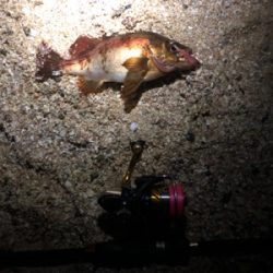 雨の力を借りて