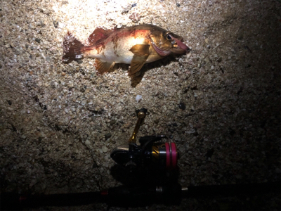 雨の力を借りて