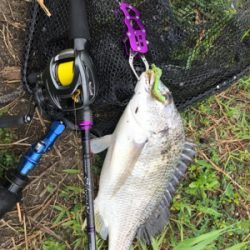 これが噂の春爆（チニング編）