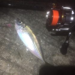 60分限定メバリング