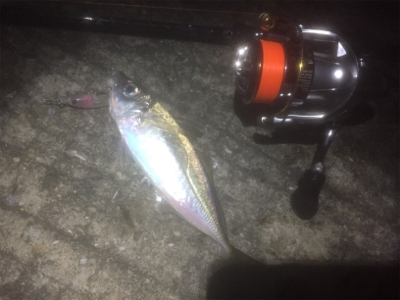 60分限定メバリング