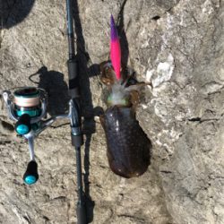 ヤバイくらいのんが来た(*_*)