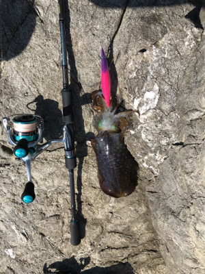 ヤバイくらいのんが来た(*_*)