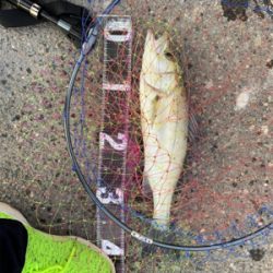 仕事帰りの短時間釣行