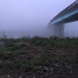 リバーシーバス