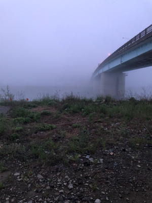 リバーシーバス