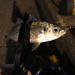 GWスタート！！