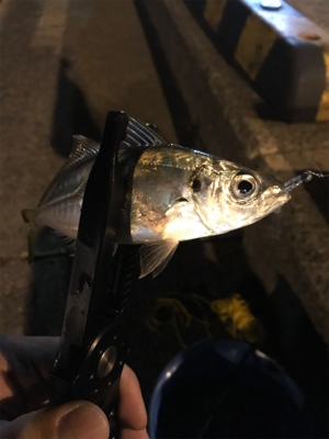 GWスタート！！