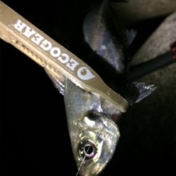 寒の戻り苦戦です(汗