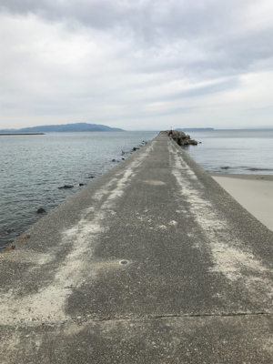 郡六突堤でキス2匹