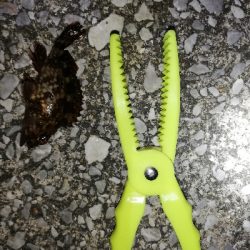 ズル引きルアーゲーム