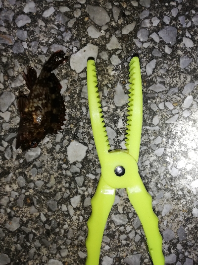 ズル引きルアーゲーム