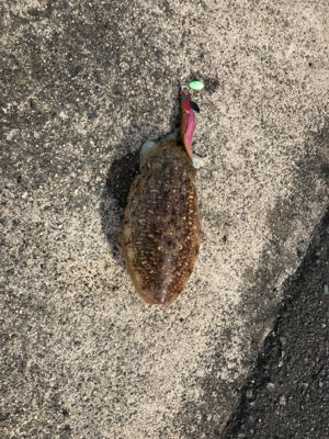 嬉しい2杯です。