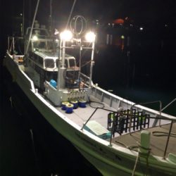 今期初のイカメタルin和歌山