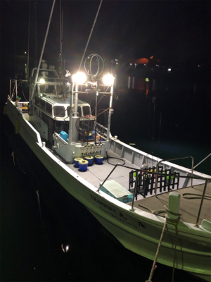 今期初のイカメタルin和歌山