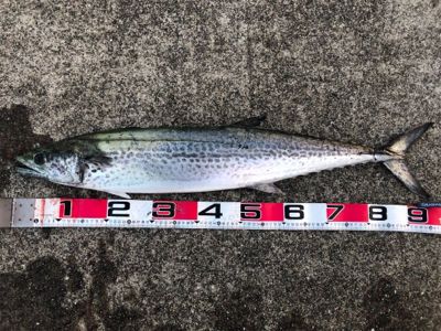 GW初日、タイミングよかった^ ^