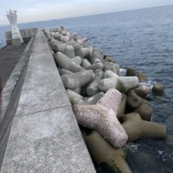 須磨一文字のチヌ