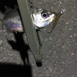 小粒ライトゲーム