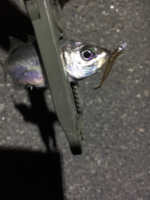 小粒ライトゲーム