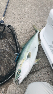 直江津港第3東防波堤